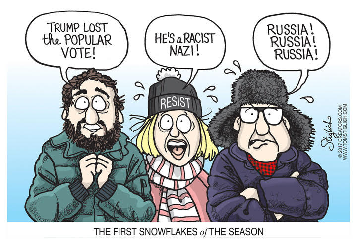 liberal-snowflakes-cartoon