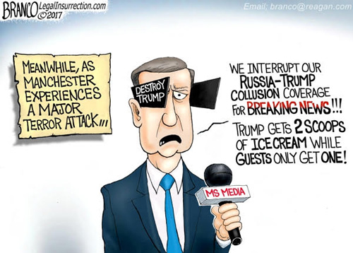 trump-russia-media-cartoon