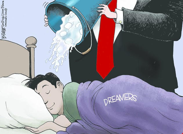 trump-cold-water-on-dreamers-cartoon